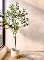 Artificial Plant - Olive Tree - 1.5m