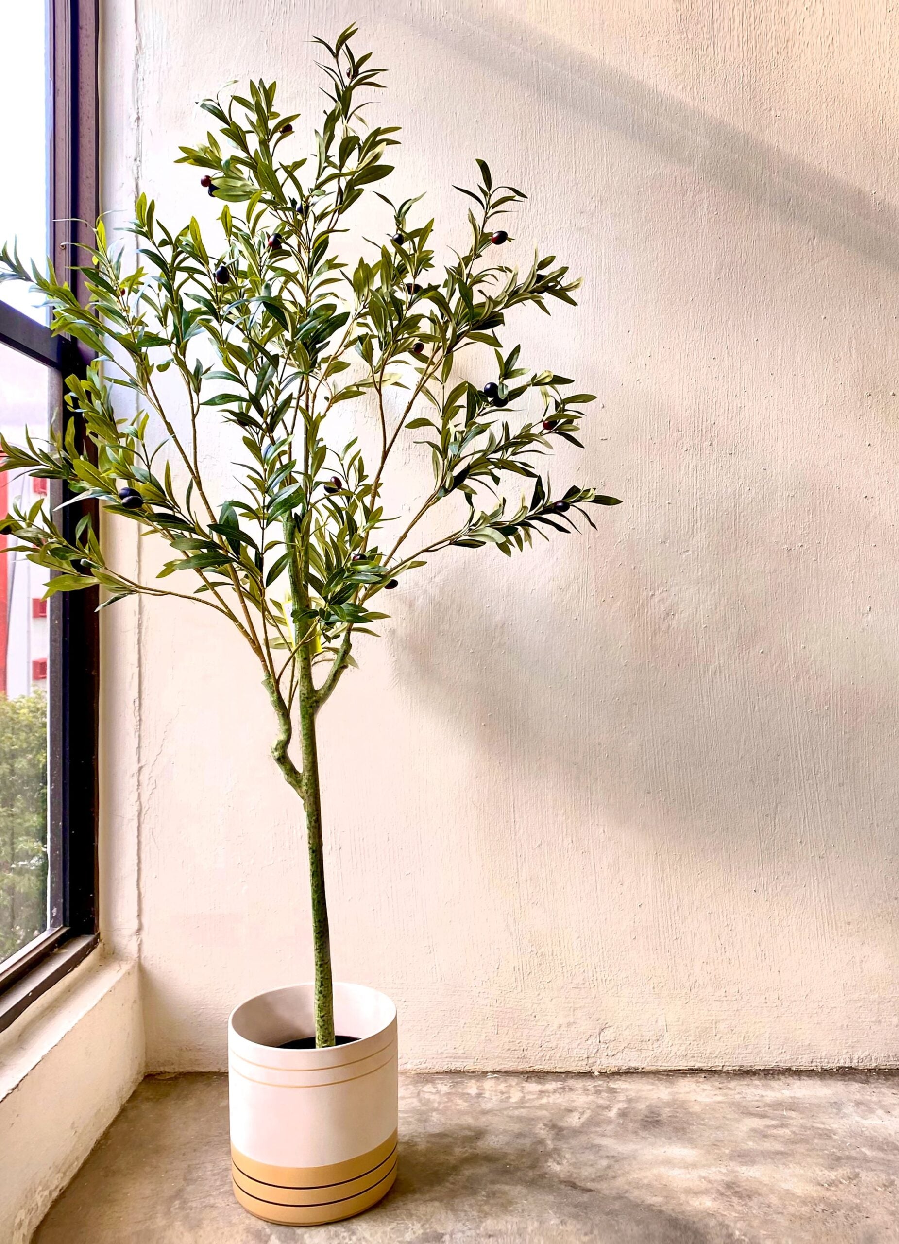 Artificial Plant - Olive Tree - 1.5m