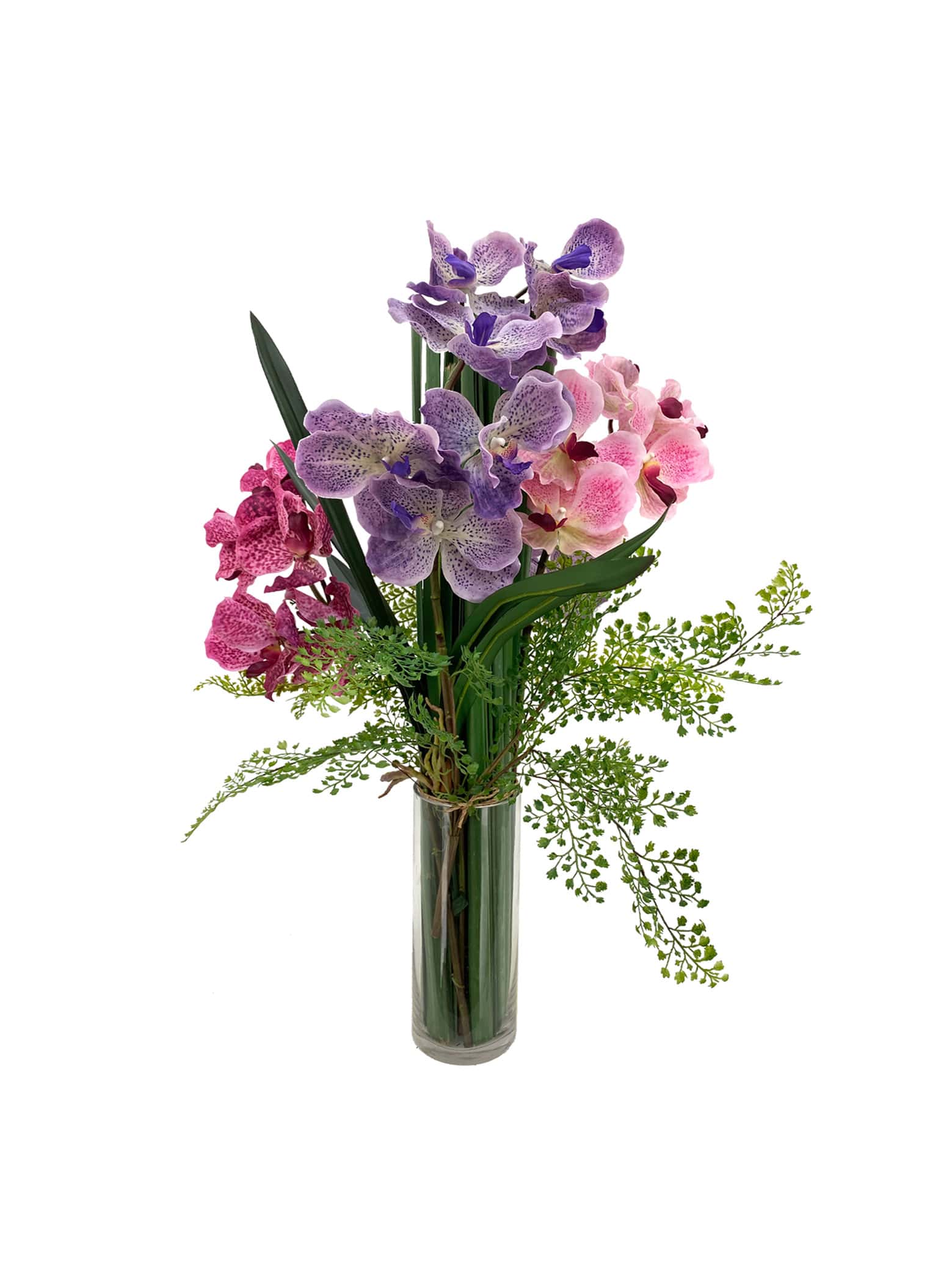 Mix Vanda Orchids