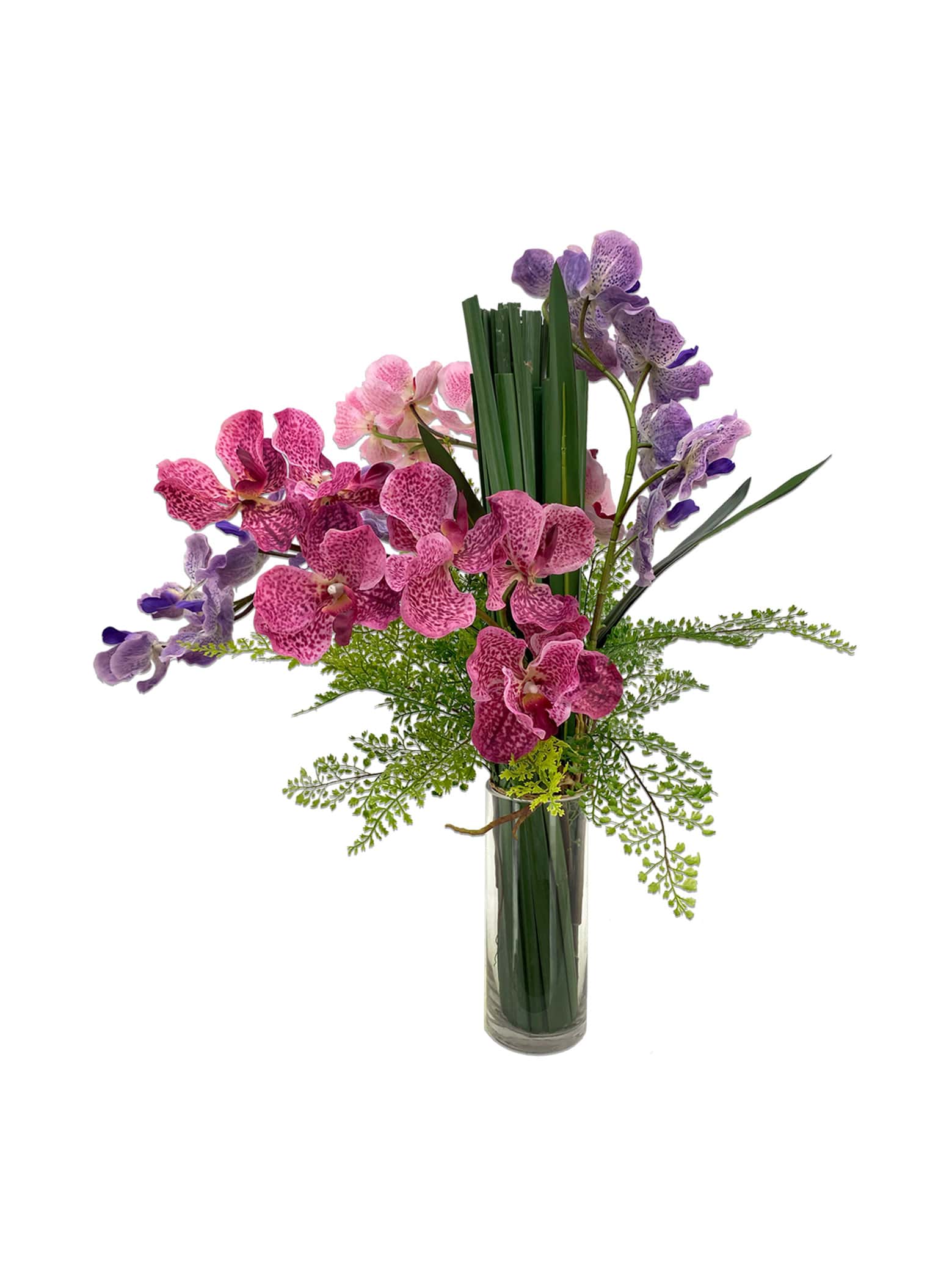 Mix Vanda Orchids