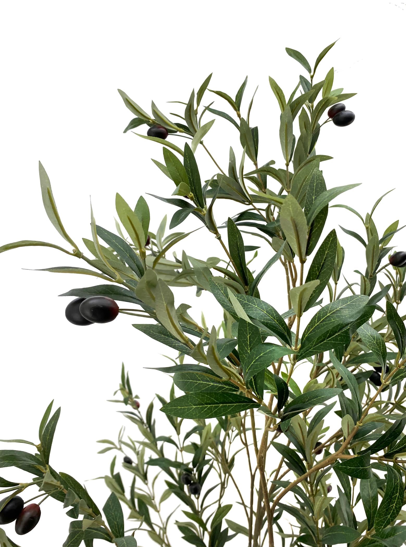 Artificial Plant - Olive Tree - 1.8m