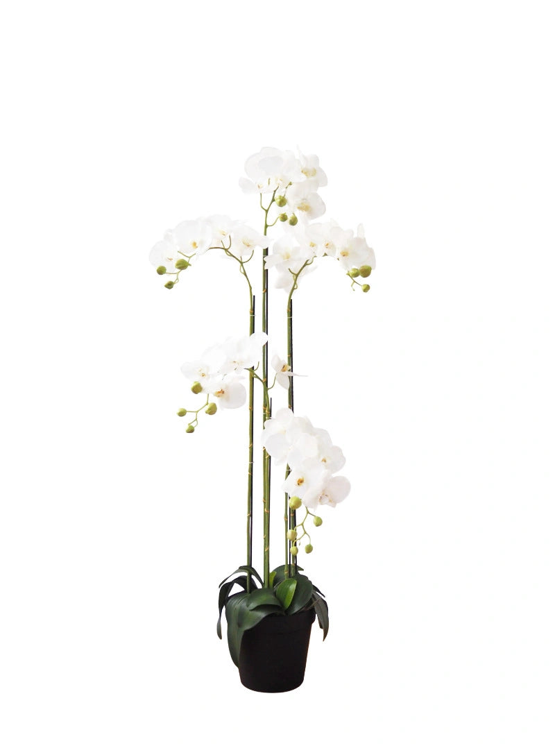 Artificial Plant - 5 Stalk Potted White Orchid