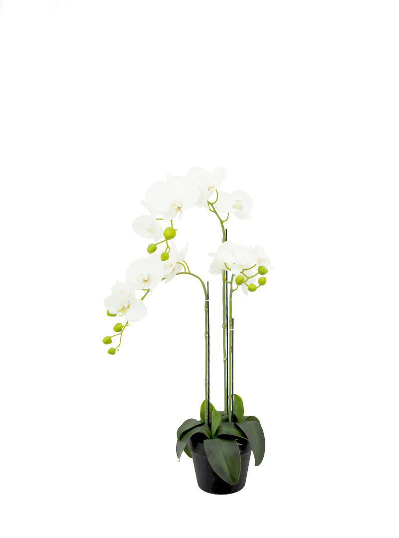Artificial Plant - 3 Stalk Potted White Orchid