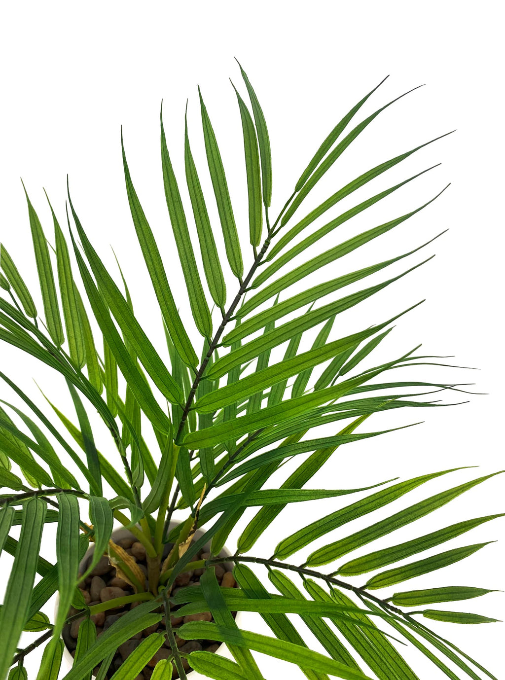 Mini Potted Palm Leaf Bush - 40cm