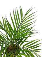 Mini Potted Palm Leaf Bush - 40cm
