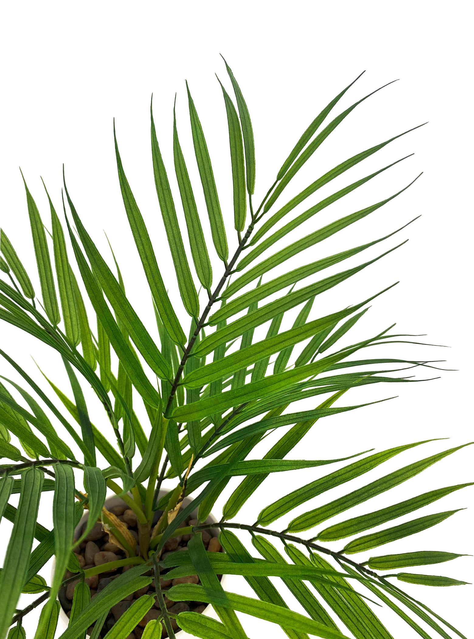 Mini Potted Palm Leaf Bush - 40cm