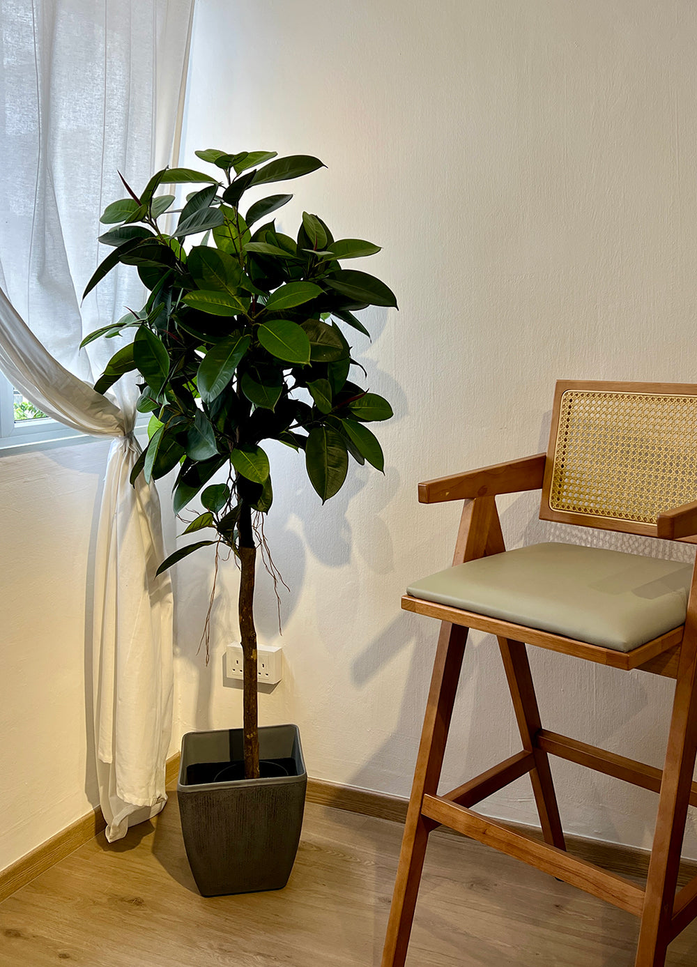 Artificial Tree- 1.6m Ficus Elastica (UV Resistant)