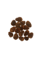 10-12cm Natural Pinecones - Set of 16