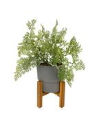 Wooden Pot Stand - 6 Sizes