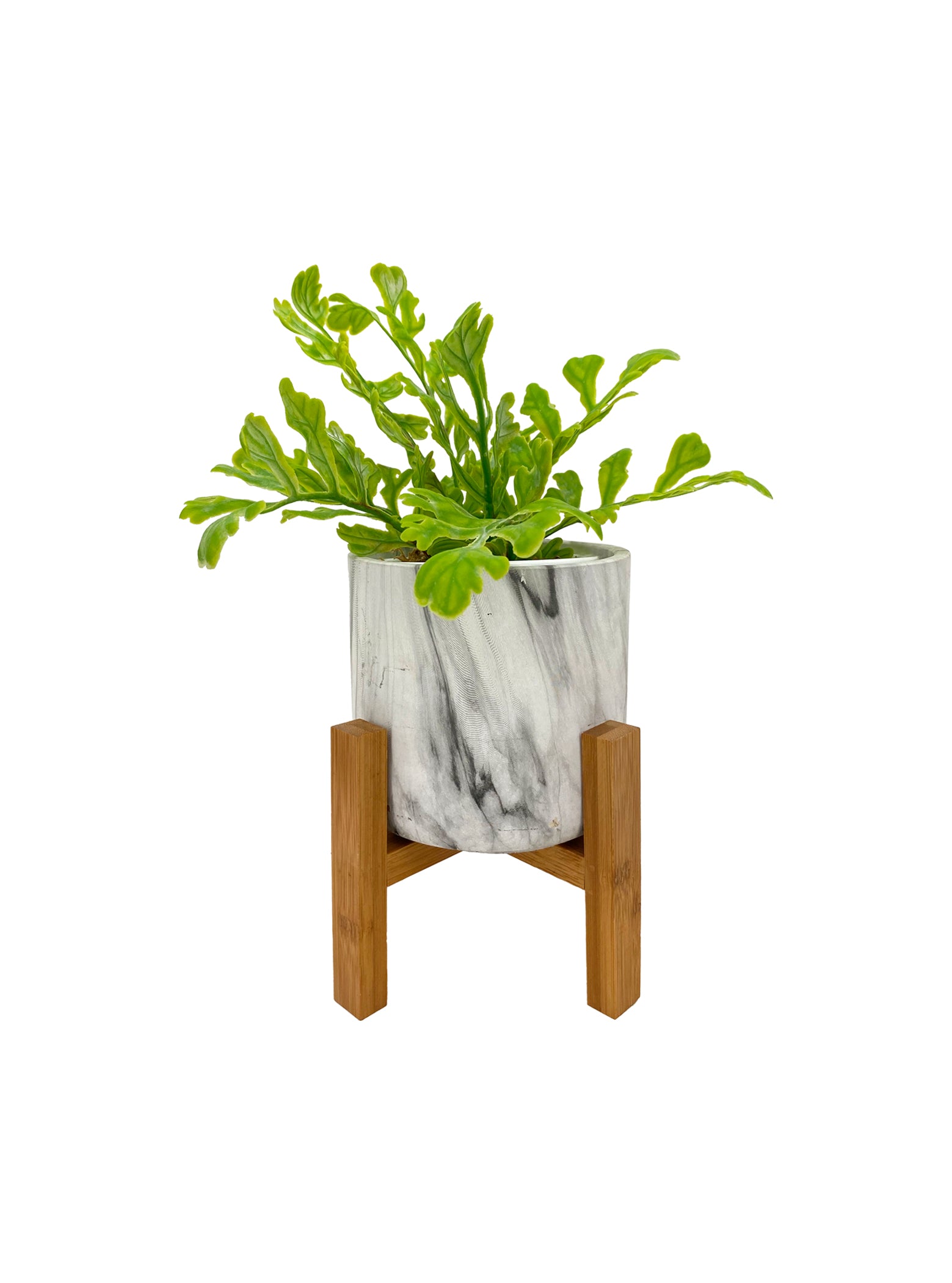 Wooden Pot Stand - 6 Sizes