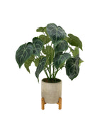 Wooden Pot Stand - 6 Sizes