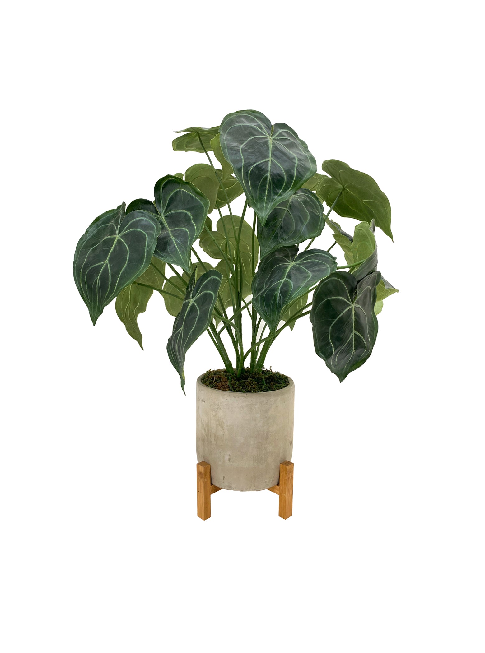 Wooden Pot Stand - 6 Sizes