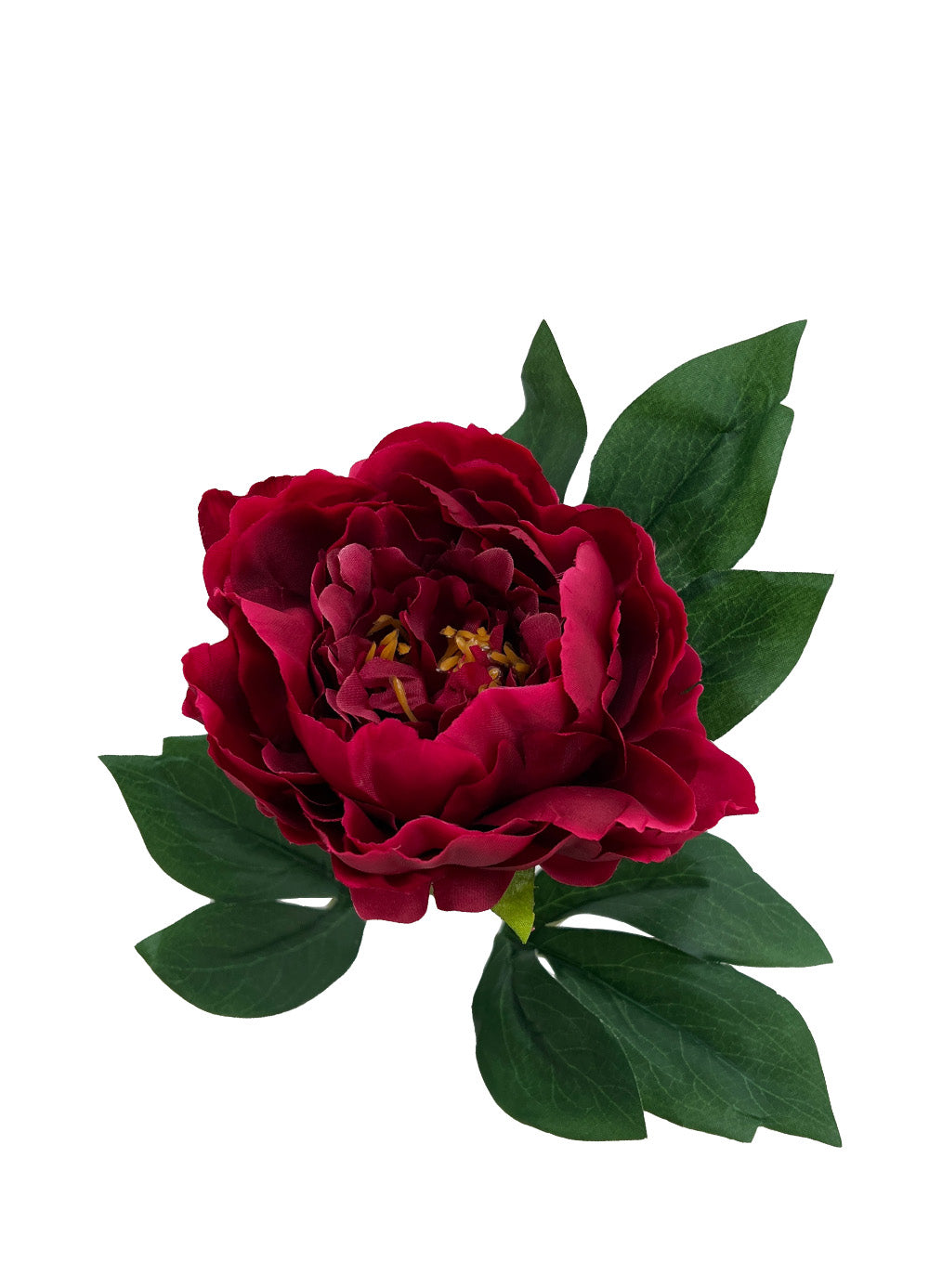 Burgundy Peony