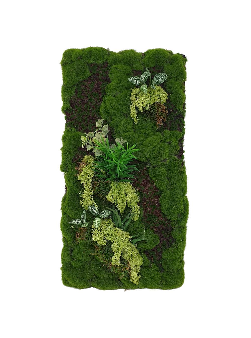 Reindeer Moss Panel Display