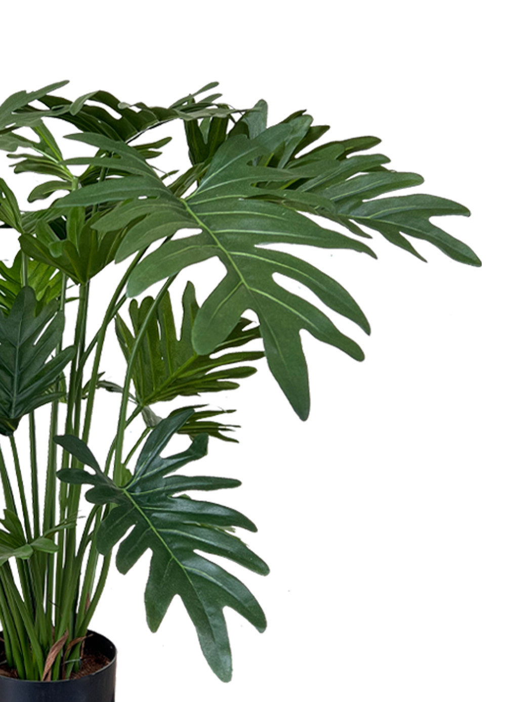 philodendron artificiel Artificial Plant - Philodendron Selloum (UV Resistant) – Pollyanna Concepts