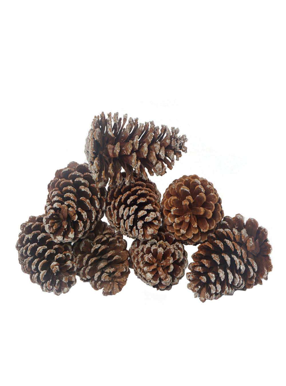 Frosted Natural Pinecones