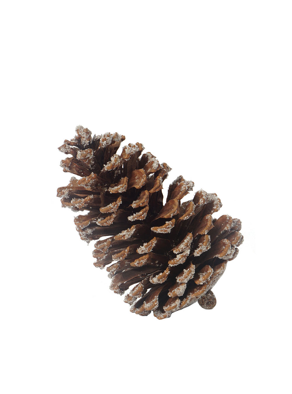 Frosted Natural Pinecones