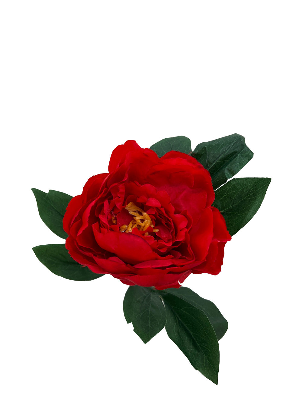 Red Peony