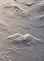 Sculpted Forest