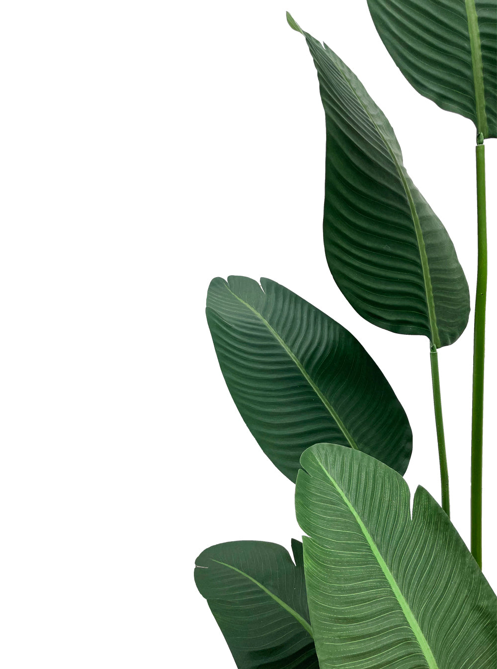 Artificial Plant - Traveller's Palm - 1.8m