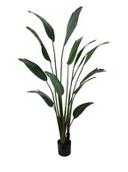 Artificial Plant - Traveller's Palm - 1.8m