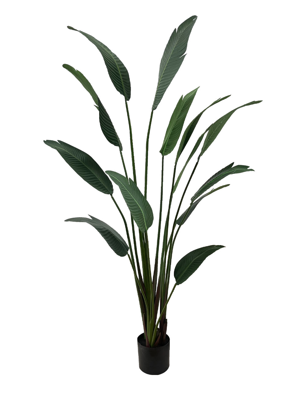 Artificial Plant - Traveller's Palm - 1.8m