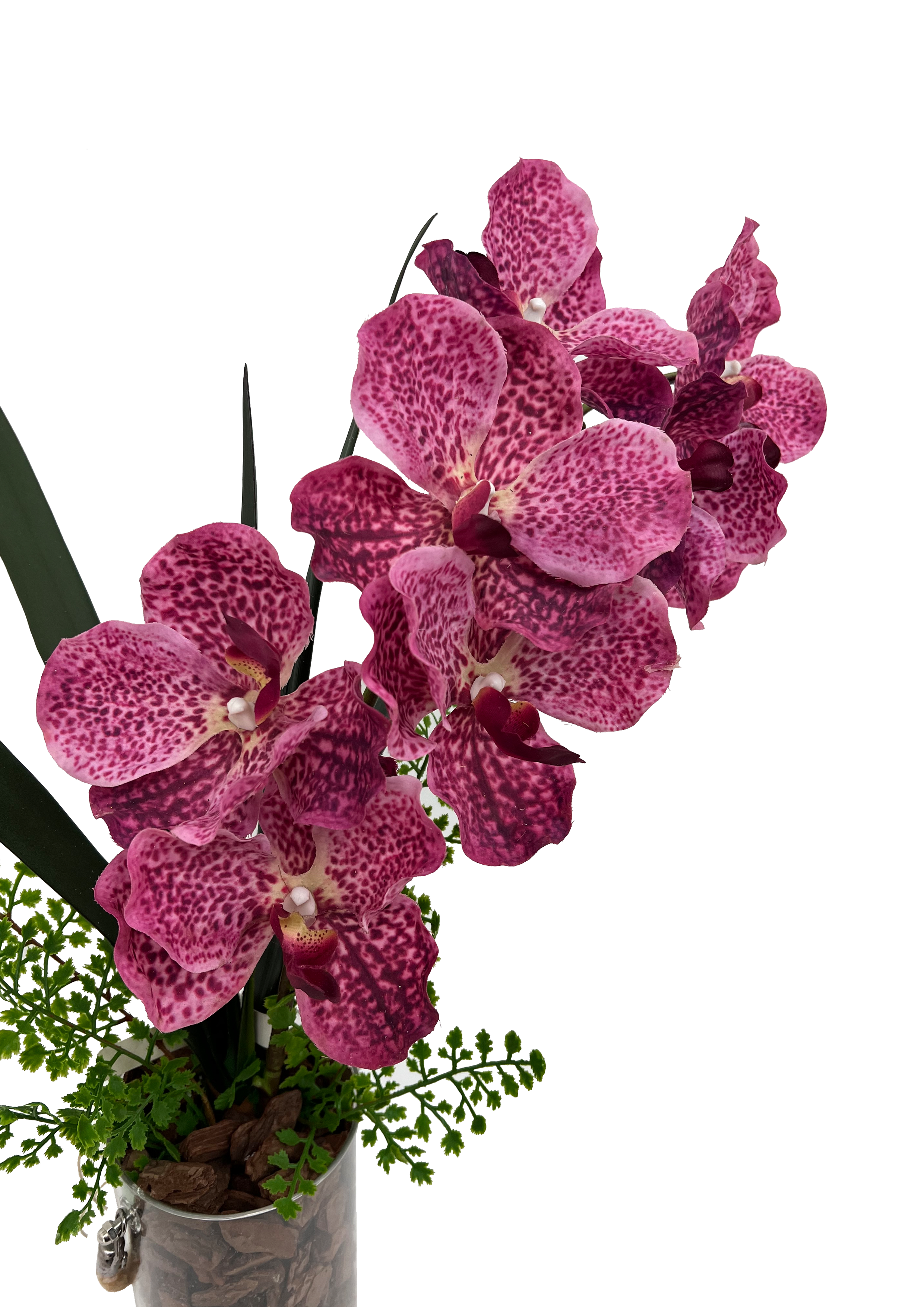 Violet Bloom - Hanging Vase