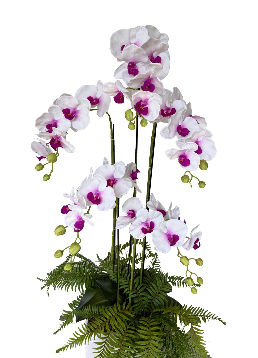 Whispering Blooms