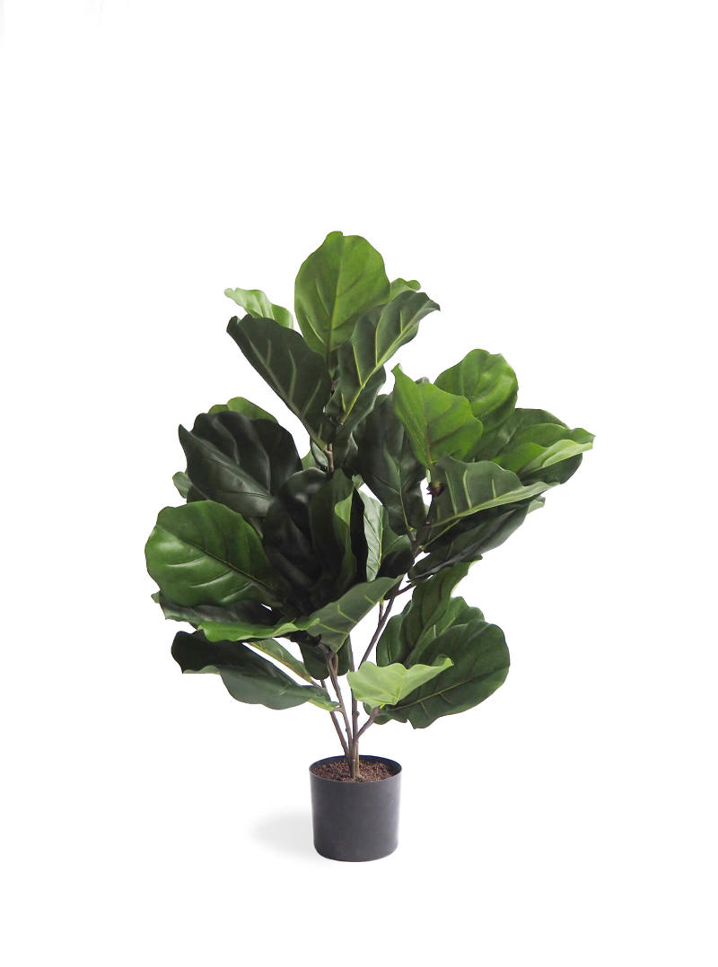 artificial plant - fiddle-leaf fig plant