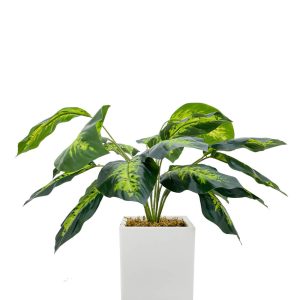artificial plant - dieffenbachia seguine plant