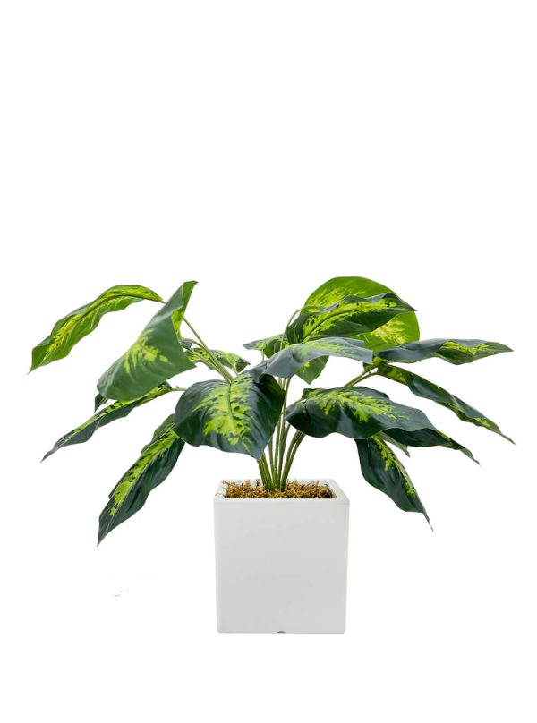 artificial plant - dieffenbachia seguine plant