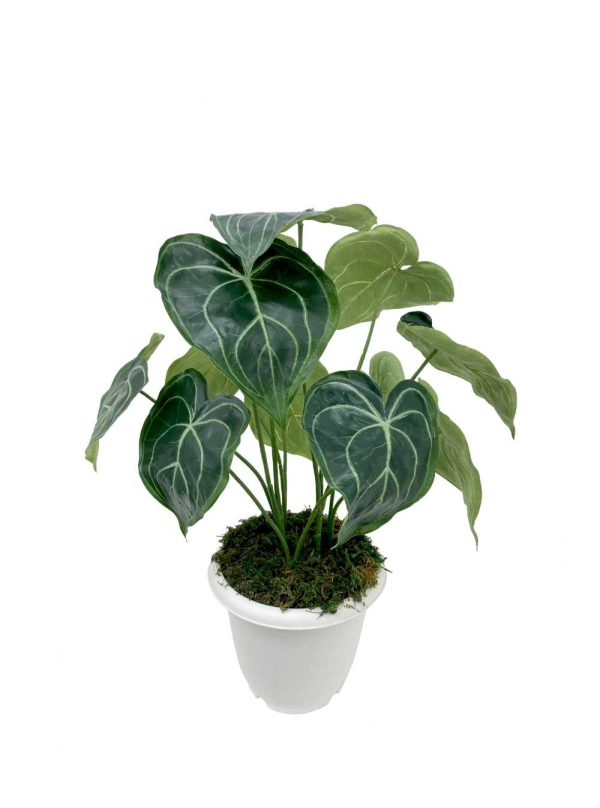 artificial anthurium leaf plant
