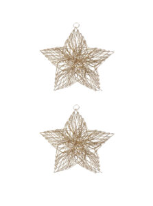 Gold Metal Hanging Star (Pollyanna)