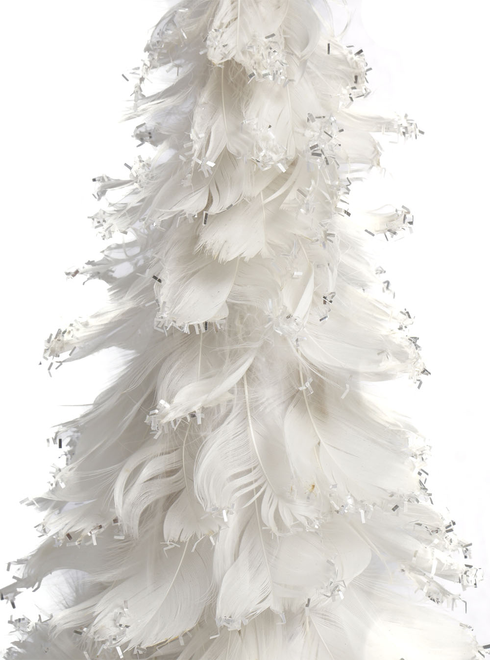 White Feathered Tree (Pollyanna)