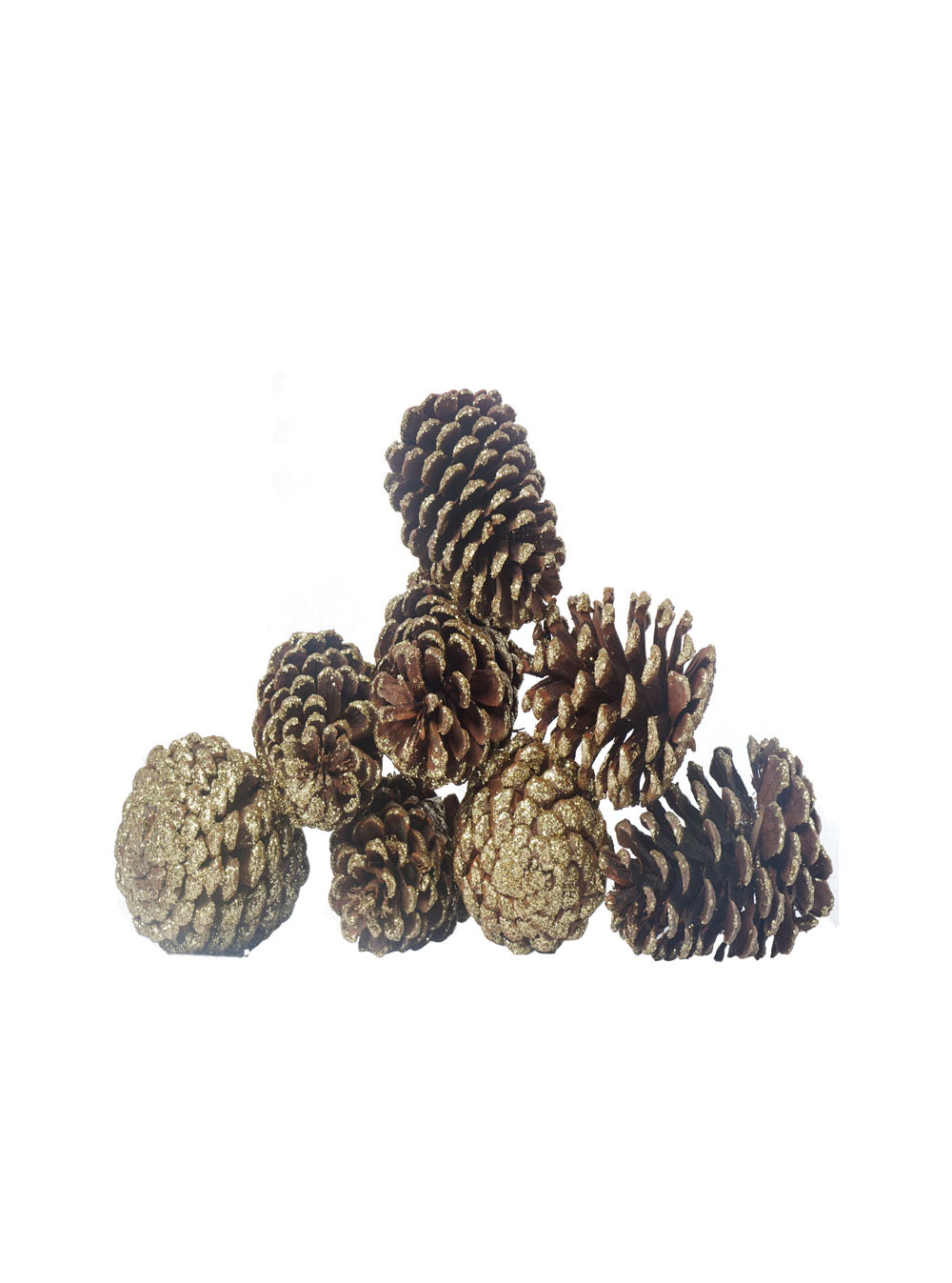 Natural Pinecones with Gold Glitter (Pollyanna)