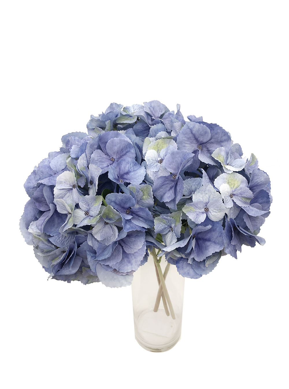 Blue HydrangeasBlue Hydrangeas (Pollyanna)