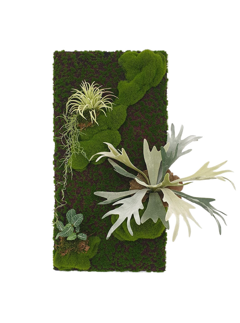 Artificial Staghorn Fern Moss Panel Display (Pollyanna)