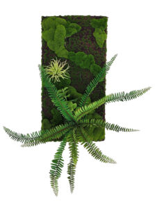 Artificial Fern Moss Panel Display (Pollyanna)