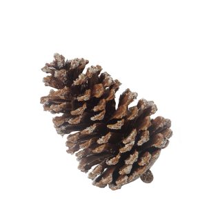 Natural Pinecones with Silver Glitter (Pollyanna)