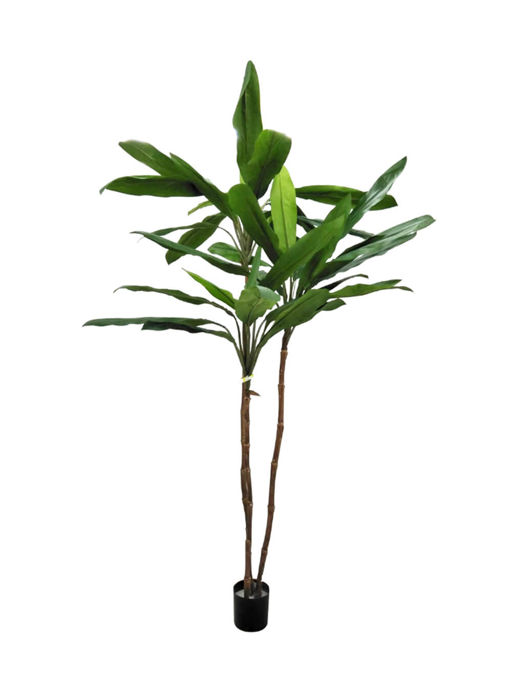 Artificial Plant - Cordyline Tree - 1.8m