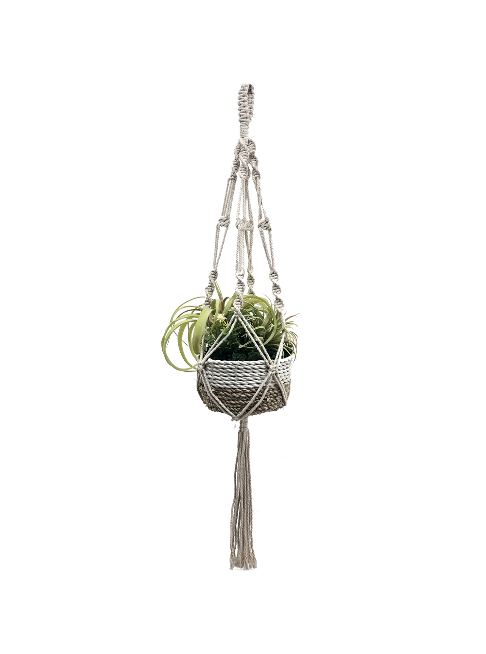 Macrame Hanging Planter with Tillandsia in Basket with Tassel