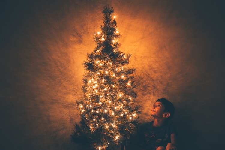 POLLYANNA GUIDE TO DECORATING CHRISTMAS TREE LIGHTS