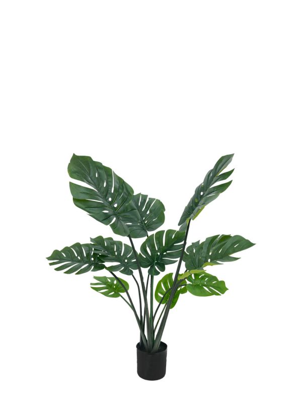 307441614 - 1.5m monstera leaf plant