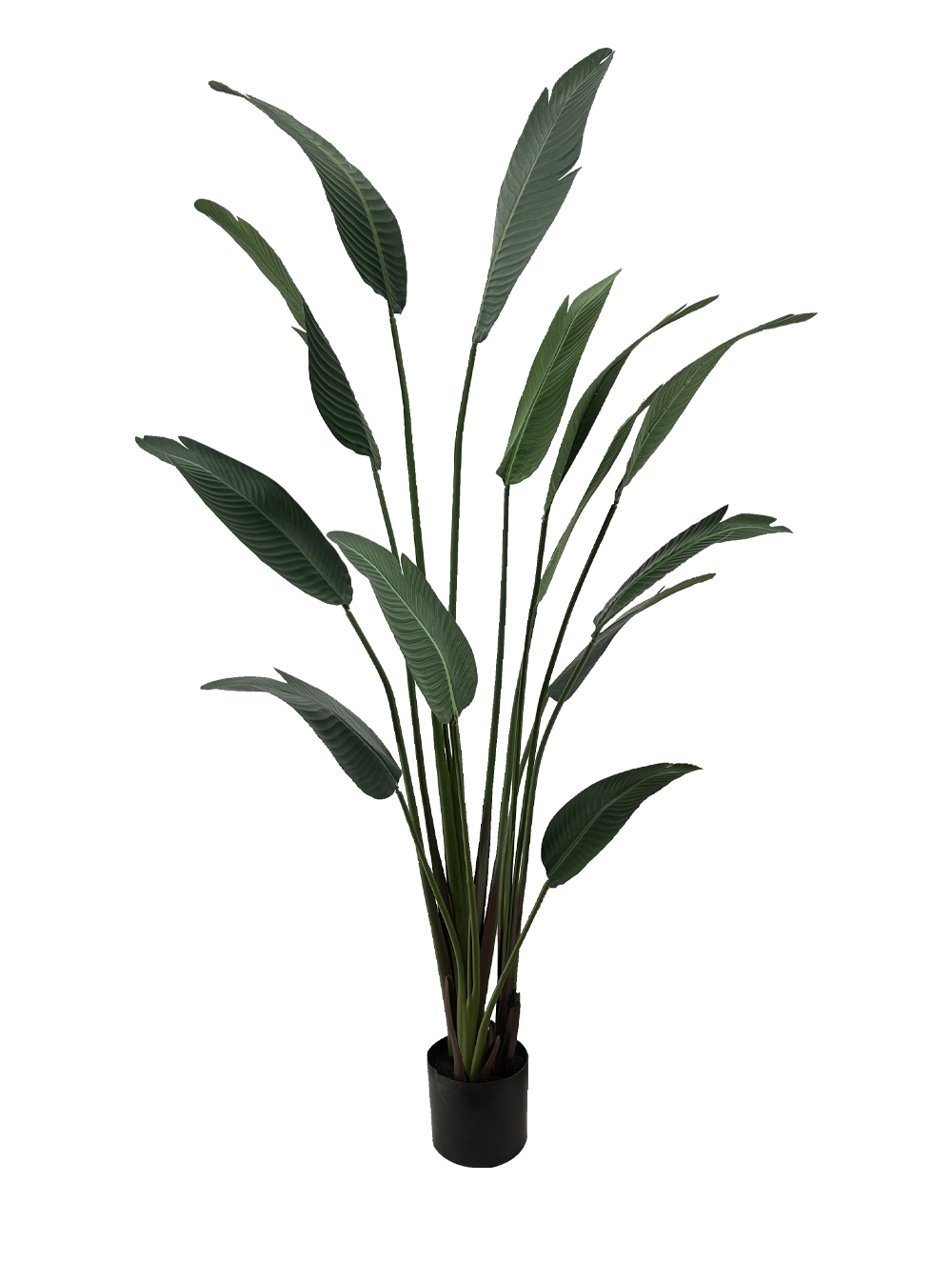 artificial plant - travellers palm (1.8m)