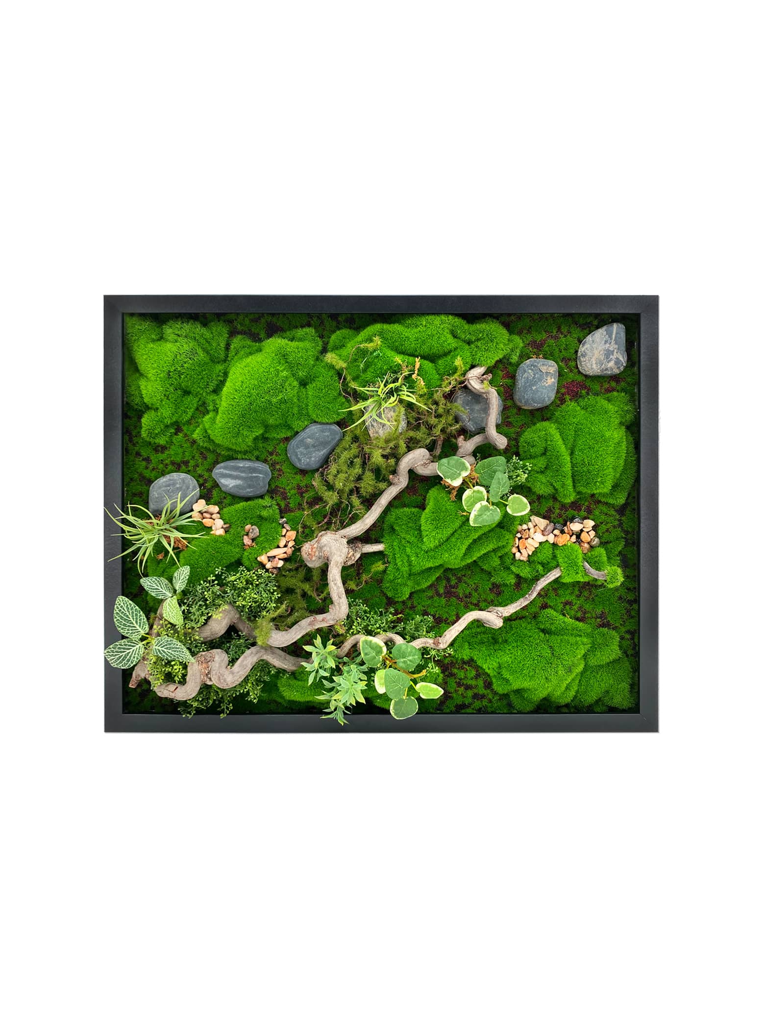 Moss Display Art Framed