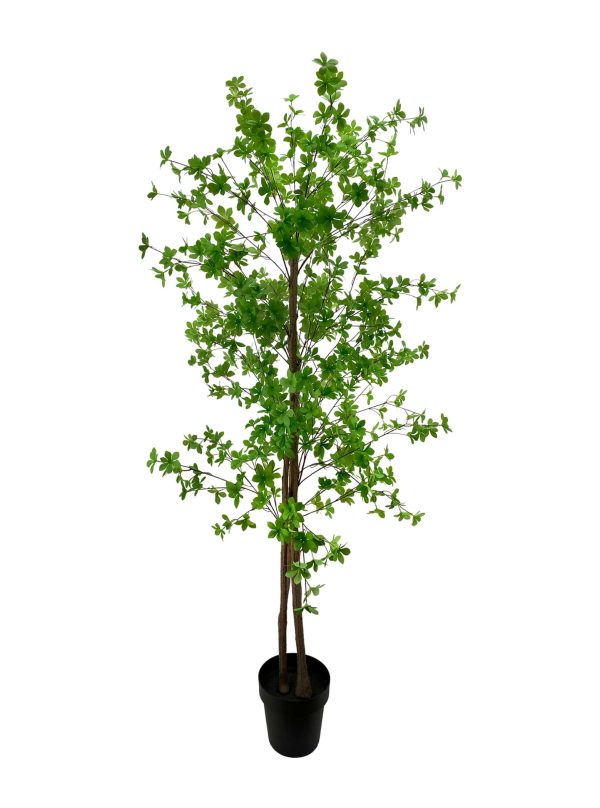 artificial plant - enkianthus tree (180cm)