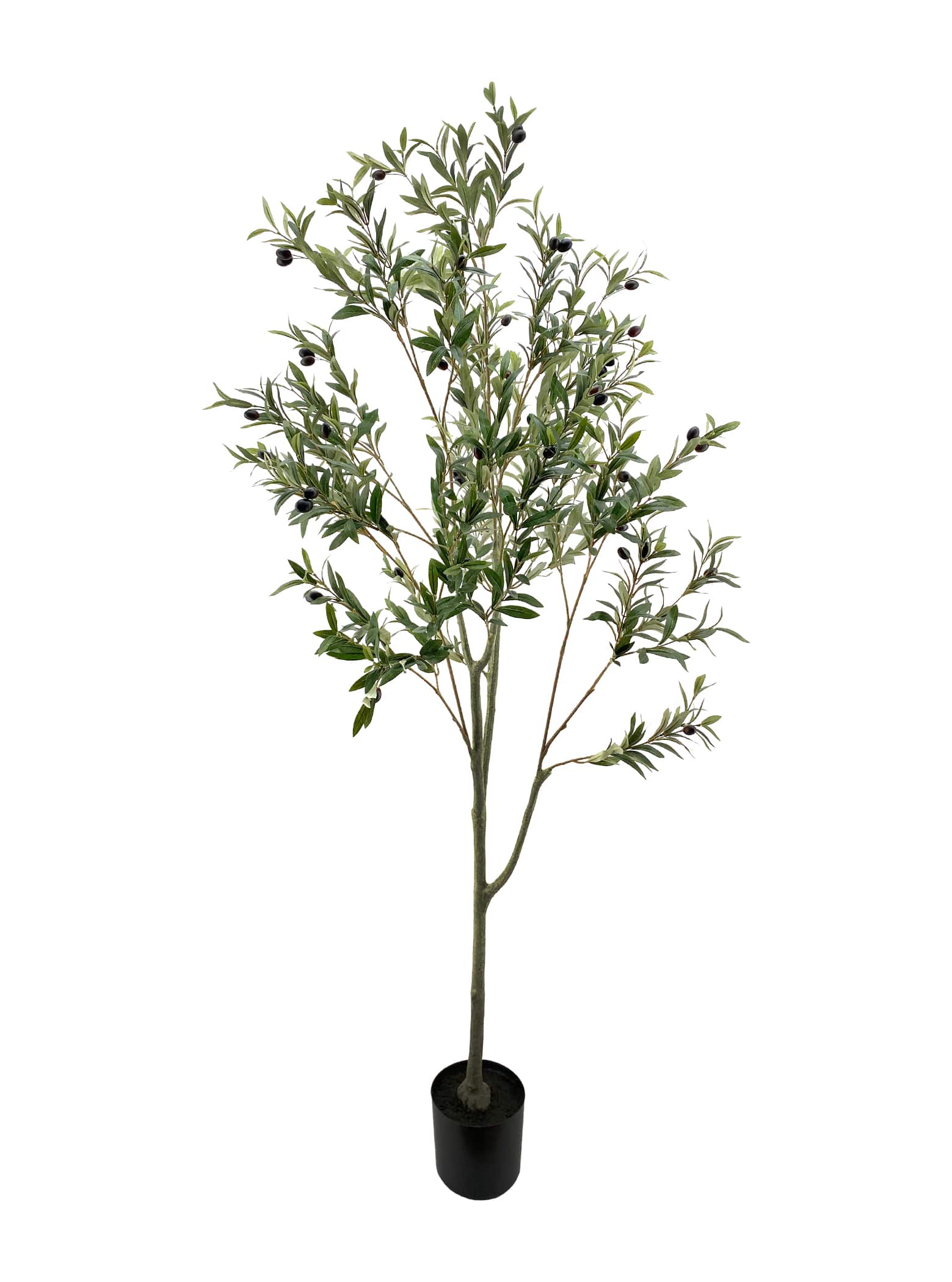 Artificial Plant - Olive Tree - 1.8m