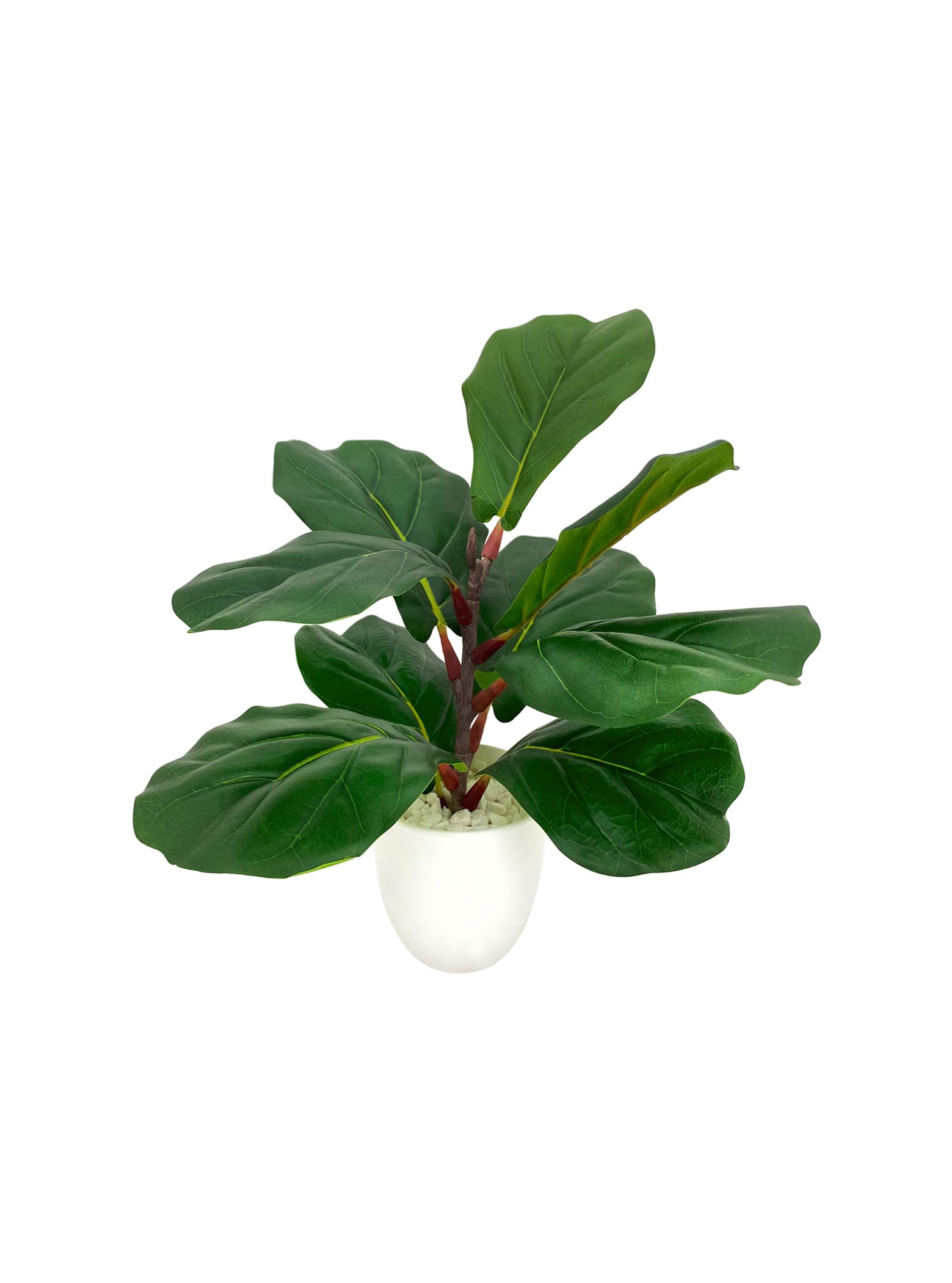 Artificial Plant - Fiddle-leaf Fig Plant w. Ceramic Pot