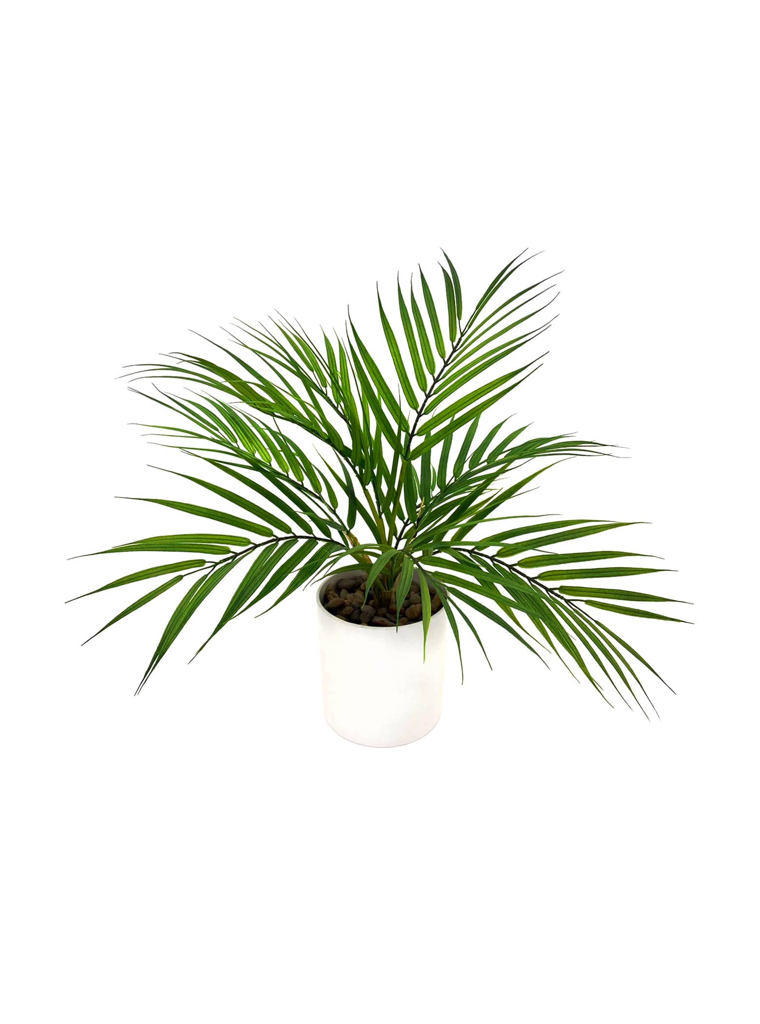 Mini Potted Palm Leaf Bush - 40cm