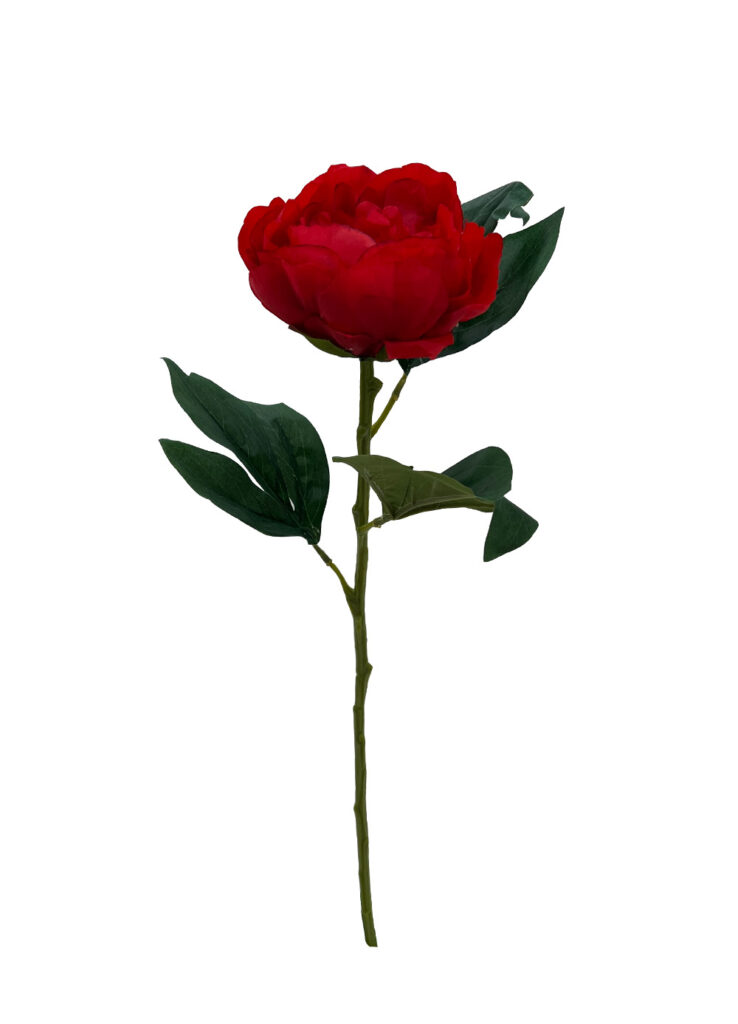 Red Peony